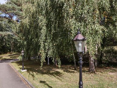 A pathway with lamp posts and trees at Lavender Lodge Saltburn-By-The-Sea