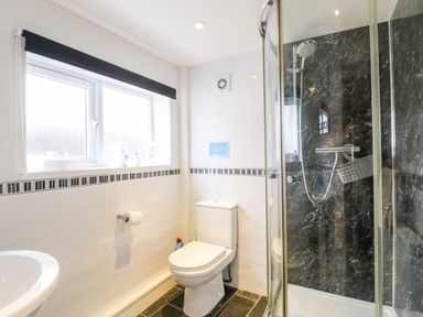A bathroom with a toilet sink and shower enclosure at Littleham Court Cottage in Littleham near Bideford
