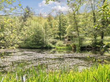 A pond surrounded by trees at Harcombe House Pet Free Bungalow in Chudleigh