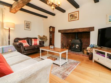 A living room with a fireplace two sofas a coffee table a floor lamp and a television at Home Farm Cottage in Fremington Devon