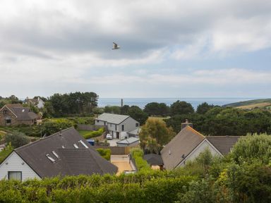 Houses with gardens near the sea with a bird flying above at Trewartha in Praa Sands
