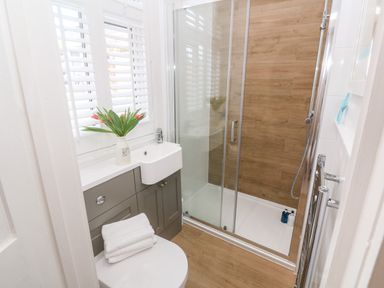 A small bathroom with a shower, sink, toilet, and a vase with flowers on the counter at Trewartha in Praa Sands
