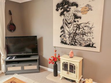 A corner of a living room with a television on a stand a wall-mounted mandolin a tiger wall art a small stove and a vase with orange flowers at Tartaria in Widdrington