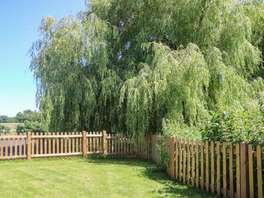 A garden with green grass a wooden fence and a large tree at Willow Pod in Arundel West Sussex