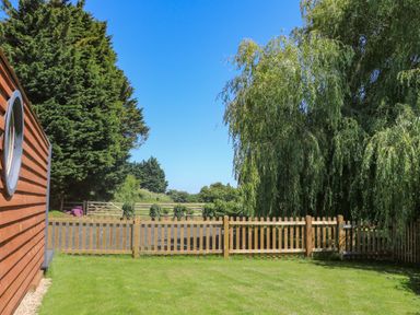 A garden with a wooden fence large trees and a wooden building at Willow Pod in Arundel West Sussex