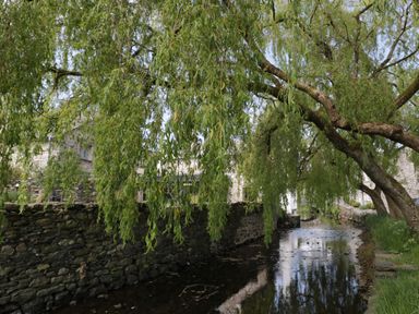 A stream flowing beside a stone wall with overhanging tree branches at 1 Tower House in Cartmel