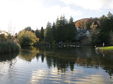 A pond with trees around it and houses in the background at 1 Tower House in Cartmel