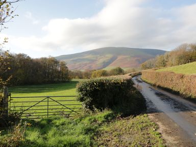 A country road with hedges and a metal gate next to a green field and hills in the background at 1 Tower House in Cartmel