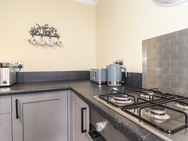 A kitchen corner with a gas stove a microwave a toaster and a kettle with mugs hanging on a wall rack at Alfresco Lodge in Skiptory Howe 37B White Cross Bay near Windermere
