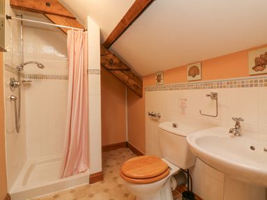 A bathroom with a shower, toilet with wooden seat, and a sink under a slanted ceiling at Apple Barn in South Molton