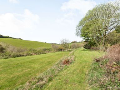 A grassy path lined with bushes and trees in a rural landscape at Apple Barn in South Molton