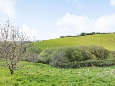 A grassy field with trees and bushes and a green hillside under a blue sky at Apple Barn in South Molton
