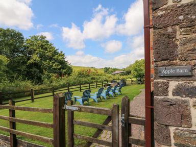 A fenced garden area with blue chairs arranged on the grass and a table with an umbrella at Apple Barn in South Molton