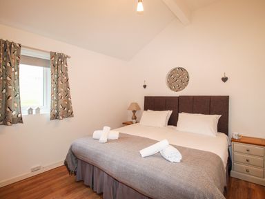 A bedroom with a bed and nightstands with lamps and curtains with bird patterns at Beside the Sea in Eype