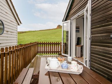 A wooden deck with a picnic table and tea set outside a cabin with open double doors showing a television inside at Beside the Sea in Eype