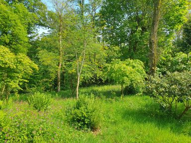 A green garden area with various trees and plants and a grassy patch at Ty Barcud in Llanfair Clydogau