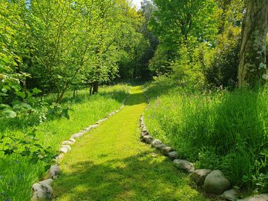 A grassy path bordered by stones with trees and bushes on both sides at Ty Barcud in Llanfair Clydogau