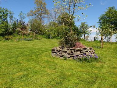 A garden with green grass shrubs and a tree surrounded by a stone wall at Ty Barcud in Llanfair Clydogau