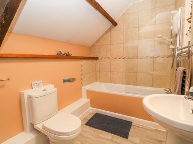 A bathroom with a toilet sink bathtub and shower at The Hawthorns in North Molton