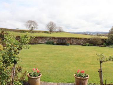 A garden with grass lawn two flower pots with red flowers and a wooden bench against a stone wall at Crablake Farmhouse in Exminster