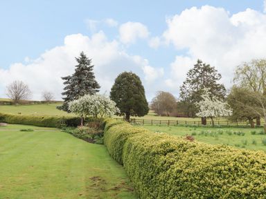 A garden with trimmed hedges trees and a grassy lawn at Crablake Farmhouse in Exminster