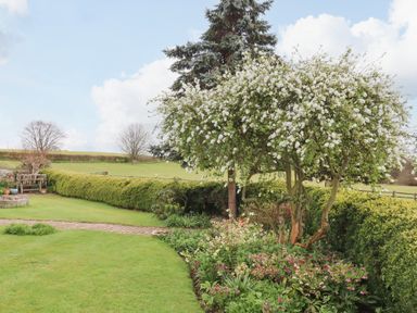 A garden with a flowering tree surrounded by plants and bushes with a wooden bench and trimmed hedges in the background at Crablake Farmhouse in Exminster