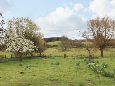 A grassy field with trees and flowers and a wooden fence in the background at Crablake Farmhouse in Exminster