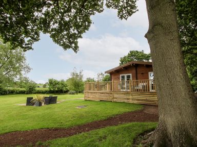A wooden cabin with a deck in a grassy area with outdoor chairs and trees at The Log Cabin in Newnham Bridge near Tenbury Wells