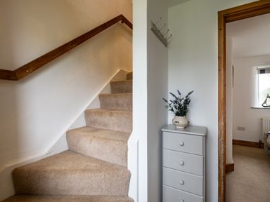 A carpeted staircase with wooden handrail next to a four-drawer chest with a vase of flowers at Stable Cottage in Port Isaac