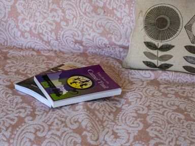 Two books on a patterned pink and white blanket with a pillow featuring a flower design at Atlantic Lodge in Port Isaac