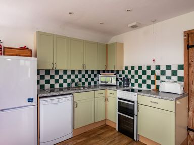 A kitchen with green and white checkered backsplash cabinets dishwasher and stove at Gull Lodge in Port Isaac
