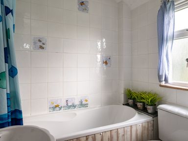 A bathroom with a bathtub tiles with fish designs three potted plants a window with blue checkered curtains and a toilet at Gull Lodge in Port Isaac