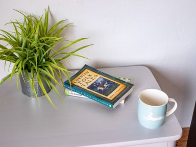 A table with a potted plant a book titled Cornish Folk Tales and a blue mug at Campion Lodge in Port Isaac