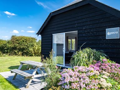 A black wooden building with a sliding door opening to a room with a picnic table outside and flowers in front at Harbour Lodge in Port Isaac