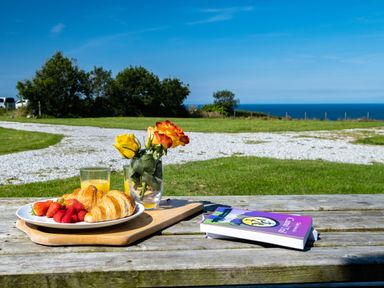 A wooden picnic table with a plate of croissants and strawberries two glasses of orange juice a vase with roses and a book with sea and grass in the background Harbour Lodge Port Isaac
