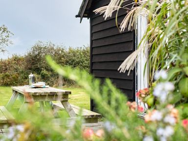 A wooden picnic table with a coffee press and cups on grass outside a black wooden building surrounded by plants at Puffin Lodge in Port Isaac