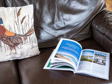 A brown leather sofa with a bird-printed cushion and an open magazine