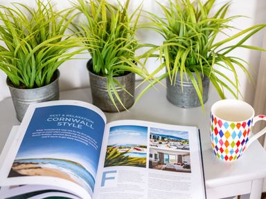 A table with three potted plants an open magazine and a colorful patterned mug at Dolphin Lodge in Port Isaac