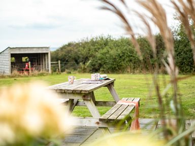 A wooden picnic table with mugs and a book on a patio with grass and a shed in the background at Dolphin Lodge in Port Isaac