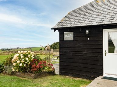A black wooden building with a white door and flowers outside at Dolphin Lodge in Port Isaac