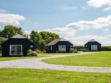 Three small black wooden cabins with picnic tables on a grassy area and a gravel path at Dolphin Lodge in Port Isaac