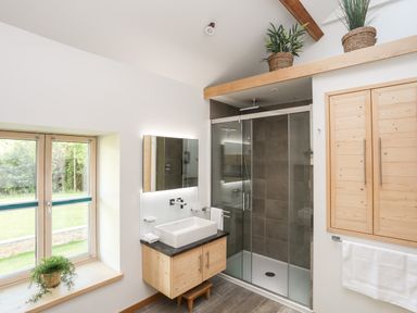 A bathroom with a shower, sink, wooden cabinets, and plants on a ledge and windowsill at Rynys in Llanddeiniolen near Llanrug
