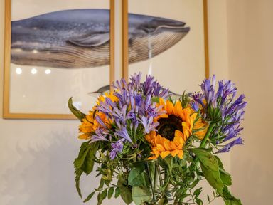 A bouquet of purple and yellow flowers with a framed whale picture in the background at April Cottage in Whitby