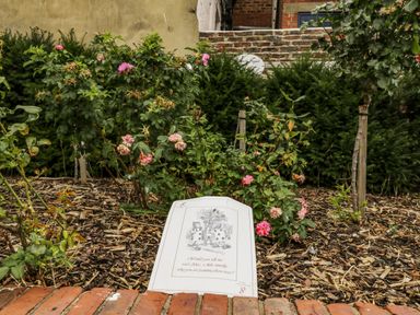 A garden with rose bushes and a sign with an illustration and text at April Cottage in Whitby