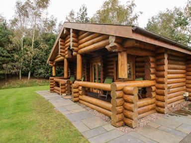 A wooden log cabin with a covered porch and green chairs surrounded by trees at Brynallt Country Park in Frankton near Ellesmere