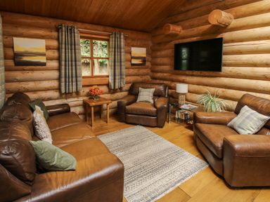 A living room with leather sofas a rug a window and a wall mounted TV at Brynallt Country Park Frankton near Ellesmere