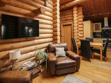 A living room with a leather armchair a glass side table with a lamp and plant a wall-mounted television and a dining table with four chairs at Brynallt Country Park Frankton near Ellesmere