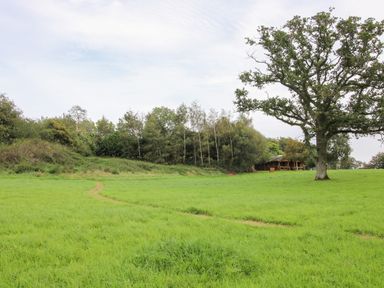 An open grassy field with a pathway leading to trees and a wooden cabin with a porch at Brynallt Country Park in Frankton near Ellesmere