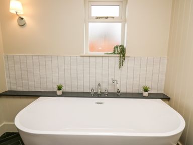 A bathroom with a white bathtub under a frosted window and plants on a ledge at Llygad Y Dydd in Bow Street Wales