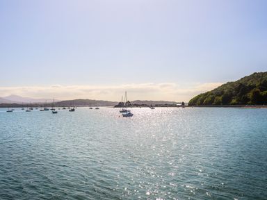 A body of water with several sailboats and a forested shore at Above Deck in Beaumaris